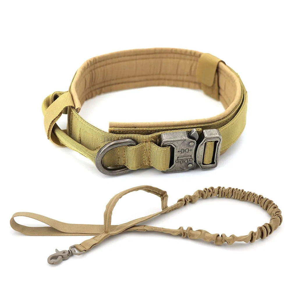 Dog Collar Dog Collar